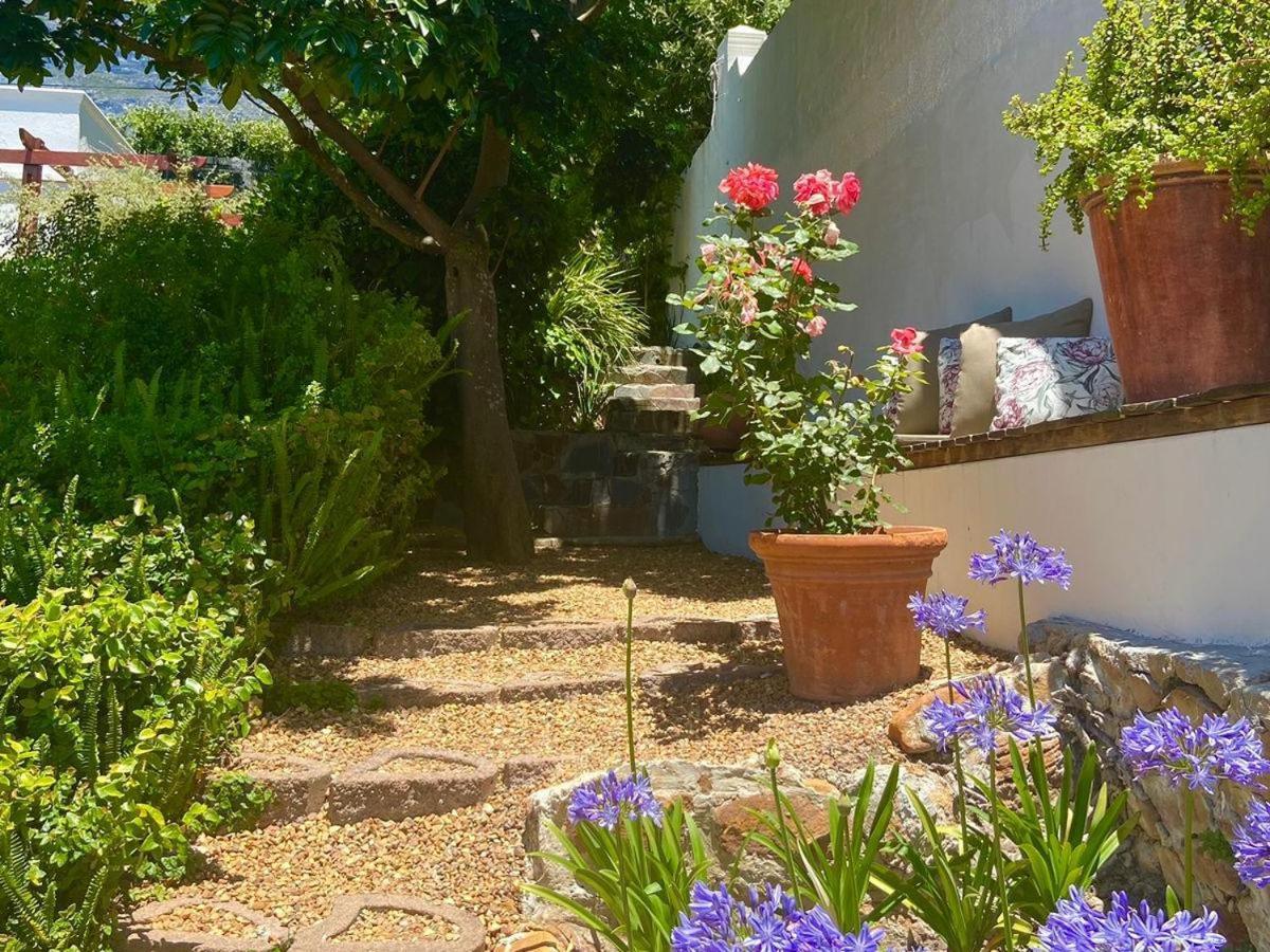 Bed and Breakfast Acorn House à Le Cap Extérieur photo