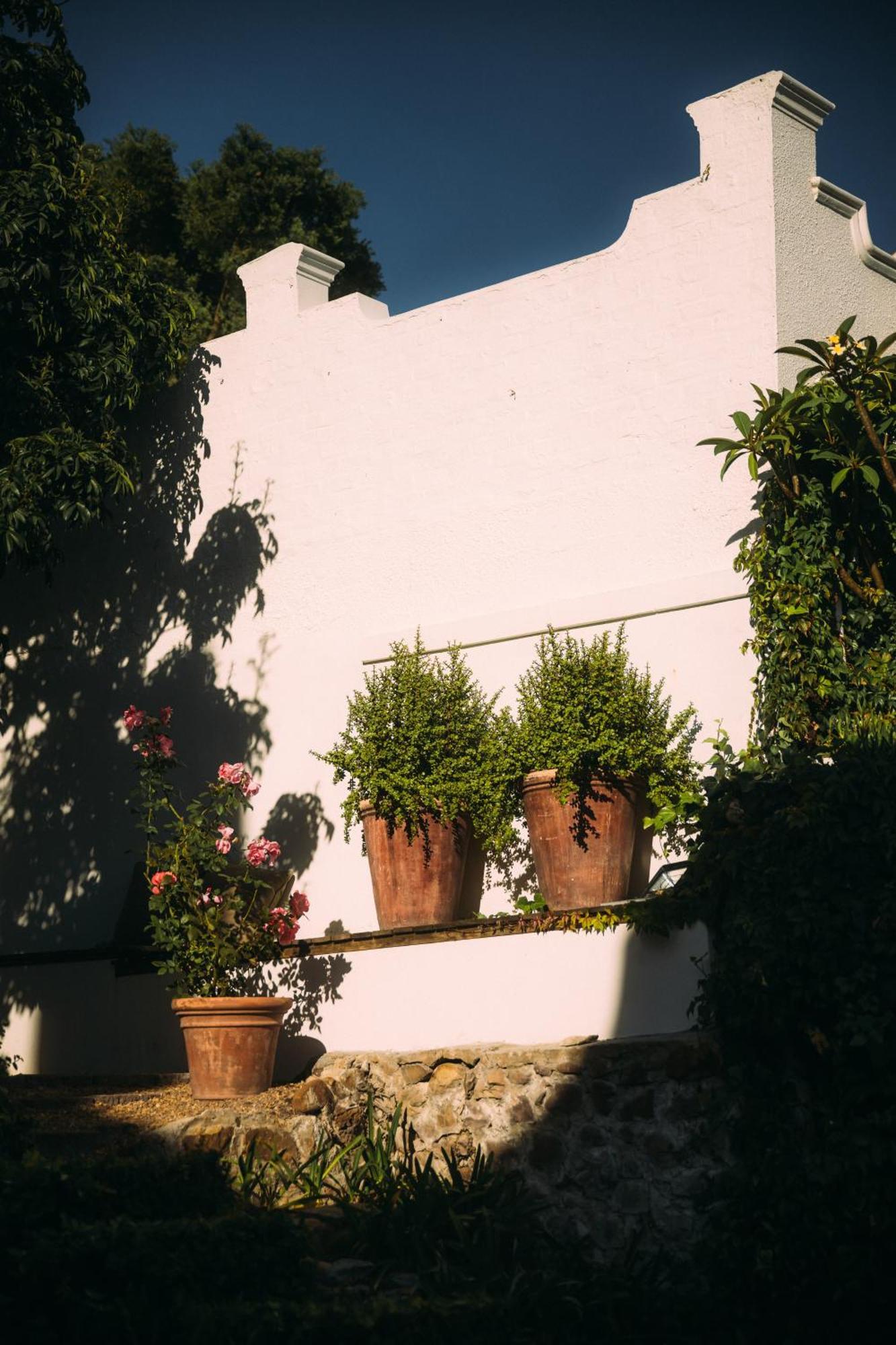 Bed and Breakfast Acorn House à Le Cap Extérieur photo