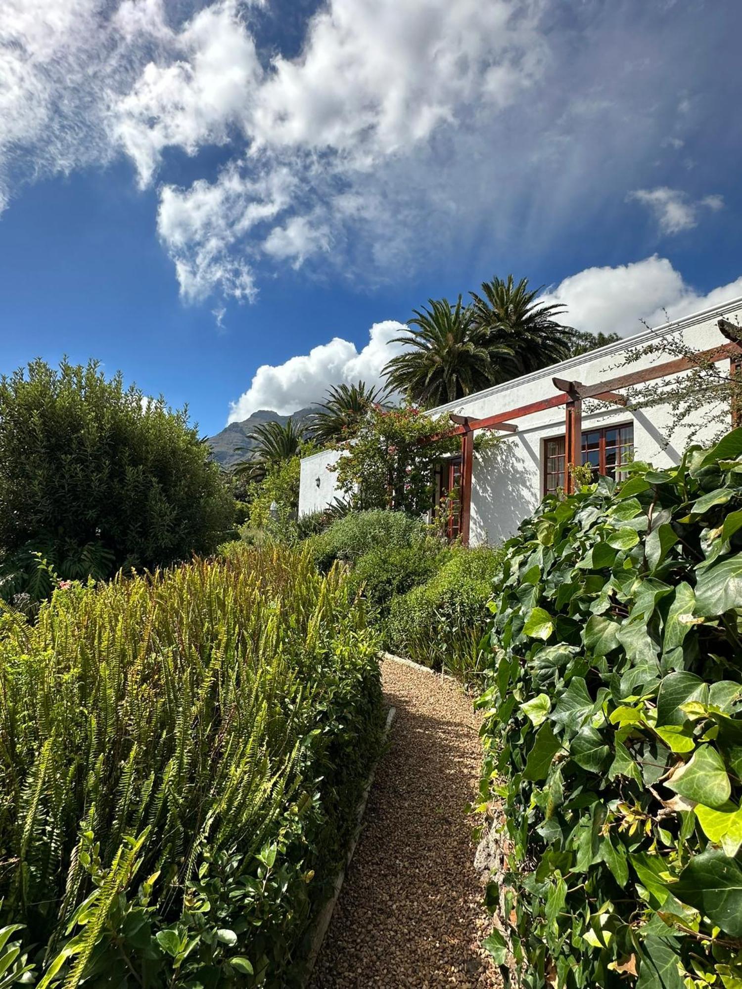 Bed and Breakfast Acorn House à Le Cap Extérieur photo