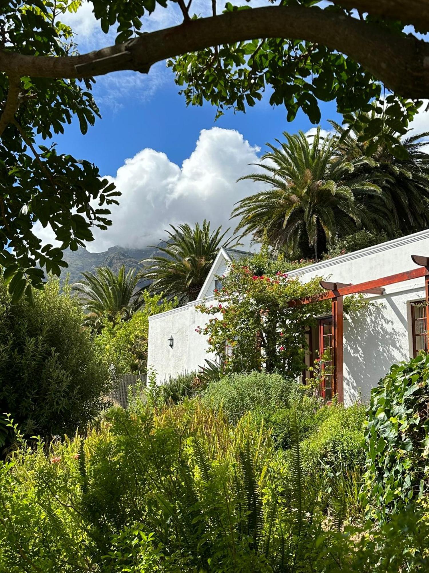Bed and Breakfast Acorn House à Le Cap Extérieur photo